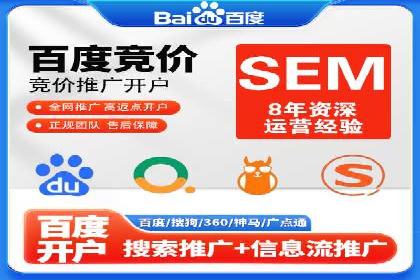 高效SEM托管服务：成功案例深度解析